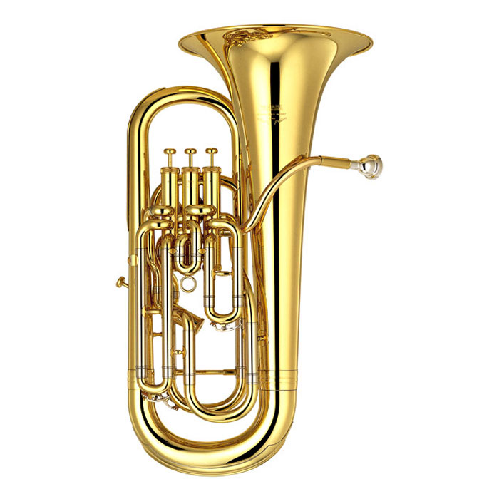 Aire-sur-la-Lys : un euphonium, un clairon et un saxophone ténor, trois  cadeaux aux musiciens - La Voix du Nord